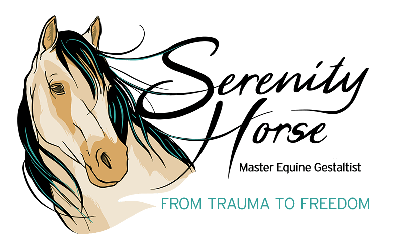 Serenity Horse Coaching