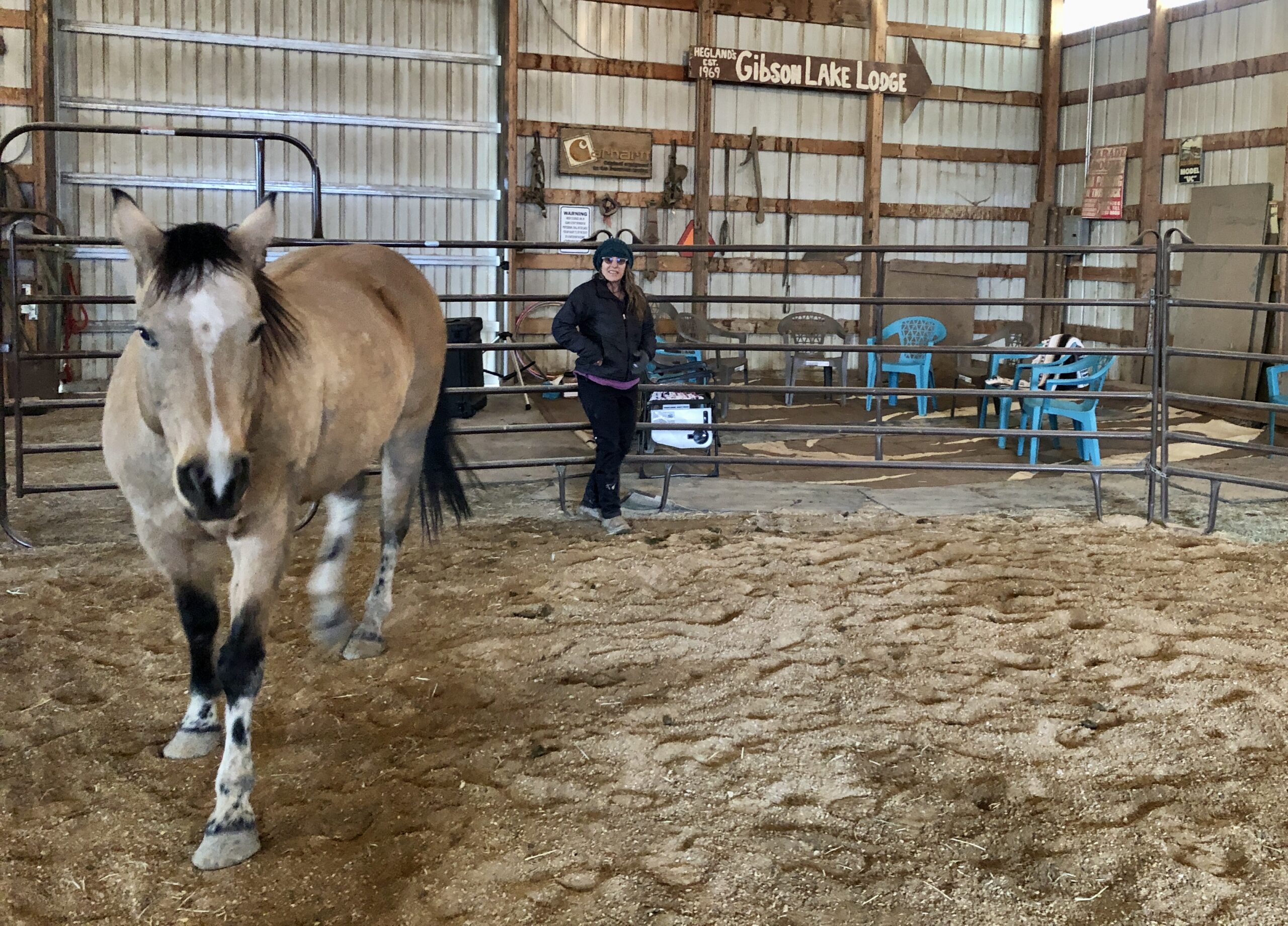 Me ne Cowboy Round Pen 2